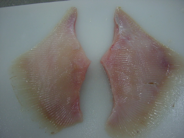 Sting Ray Fillet